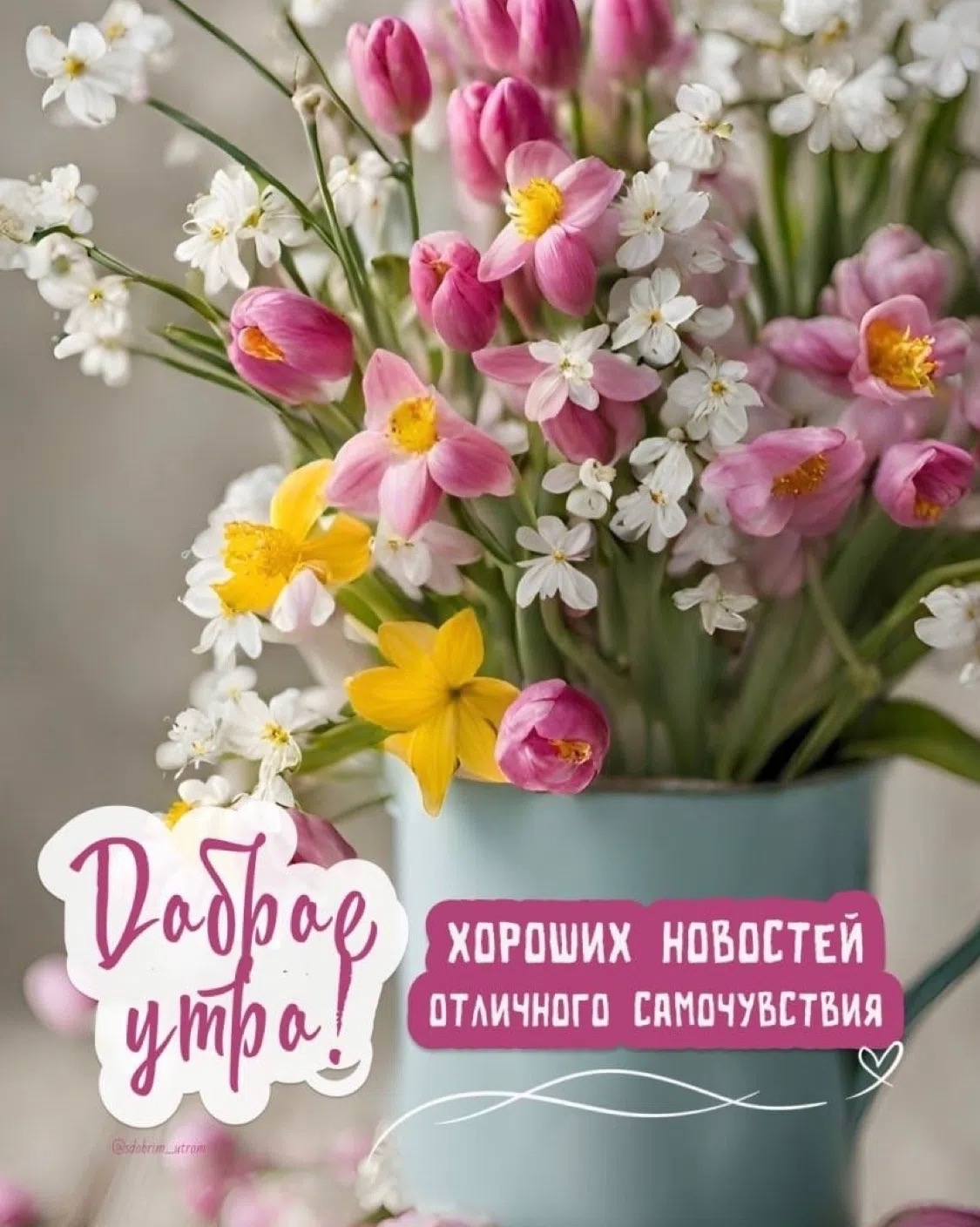 https://upforme.ru/uploads/0012/6e/7d/1850/835104.jpg