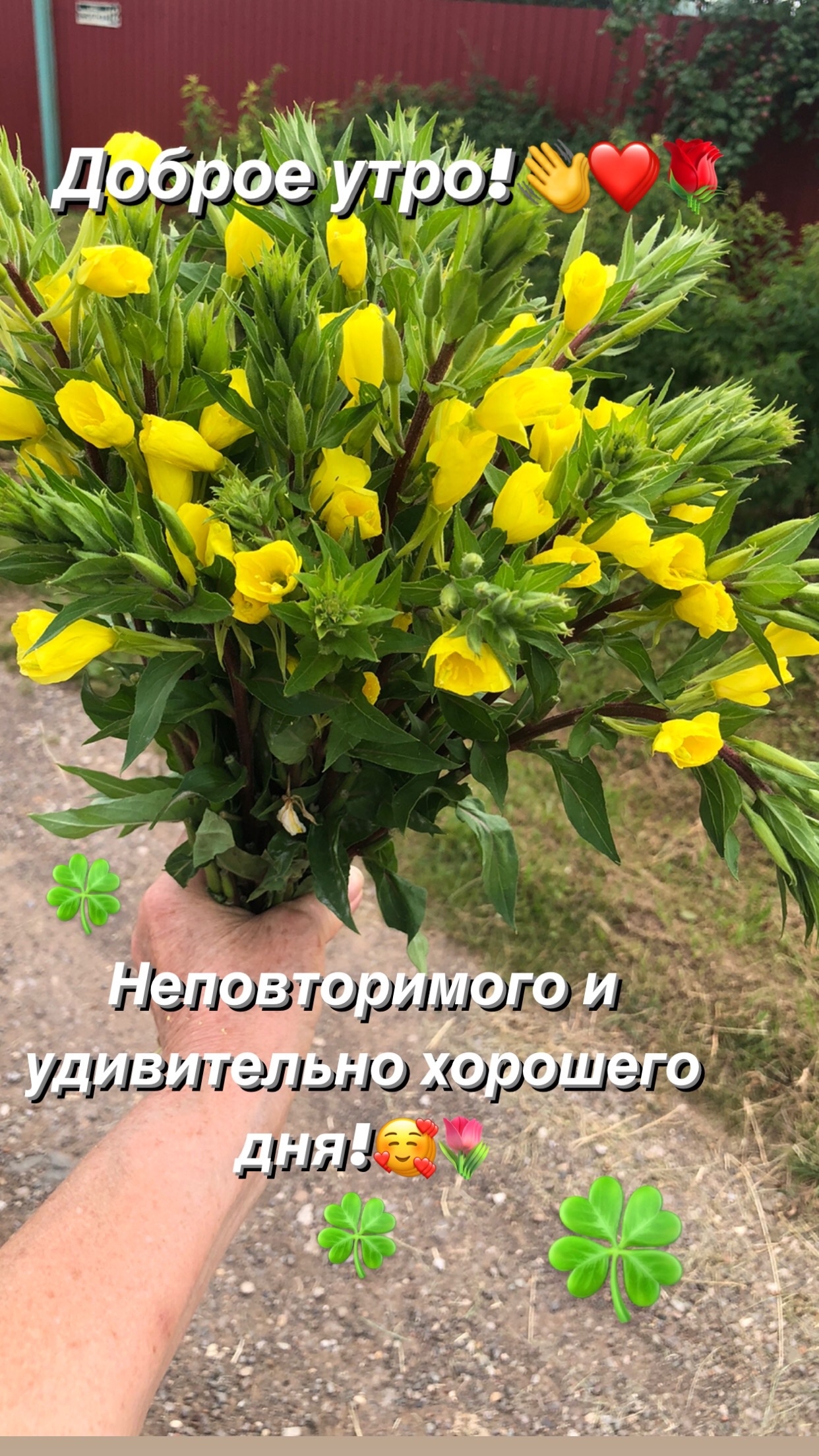 https://upforme.ru/uploads/0012/6e/7d/1850/871286.jpg