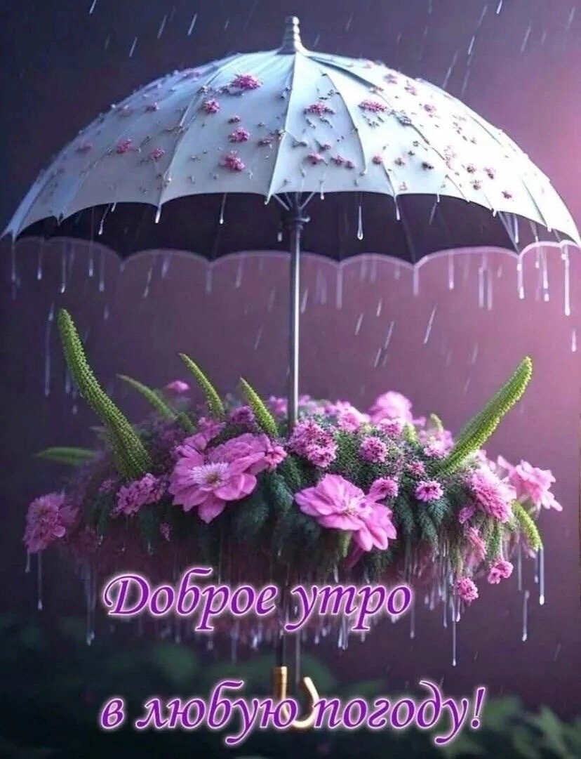 https://upforme.ru/uploads/0012/6e/7d/1850/873082.jpg