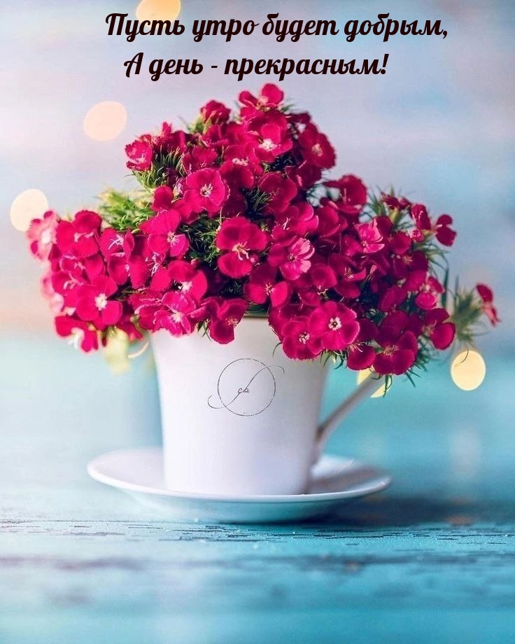 https://upforme.ru/uploads/0012/6e/7d/1850/886342.jpg