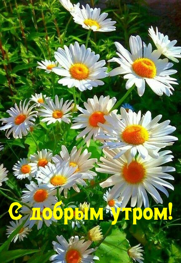 https://upforme.ru/uploads/0012/6e/7d/1850/889837.jpg
