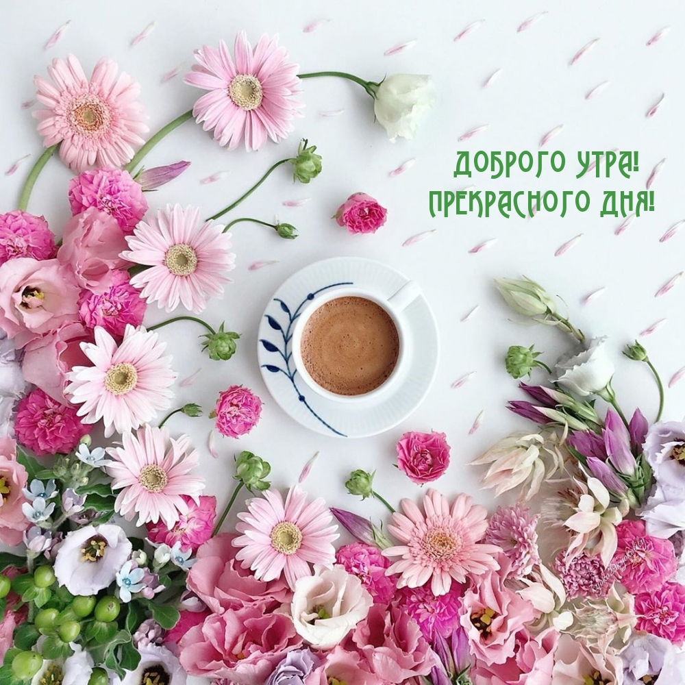 https://upforme.ru/uploads/0012/6e/7d/1850/910462.jpg
