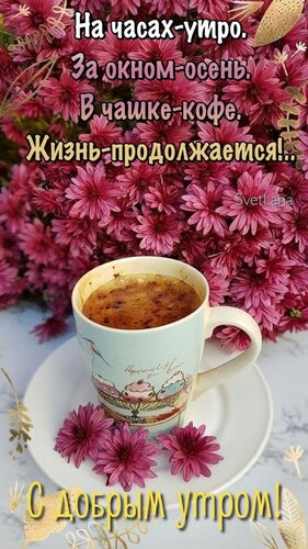 https://upforme.ru/uploads/0012/6e/7d/1850/926928.jpg