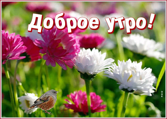 https://upforme.ru/uploads/0012/6e/7d/1850/961145.jpg