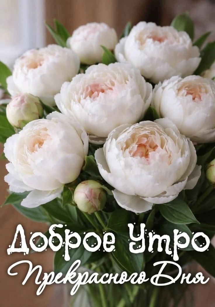 https://upforme.ru/uploads/0012/6e/7d/1850/965848.jpg