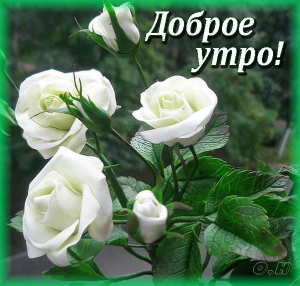 https://upforme.ru/uploads/0012/6e/7d/1850/976805.jpg