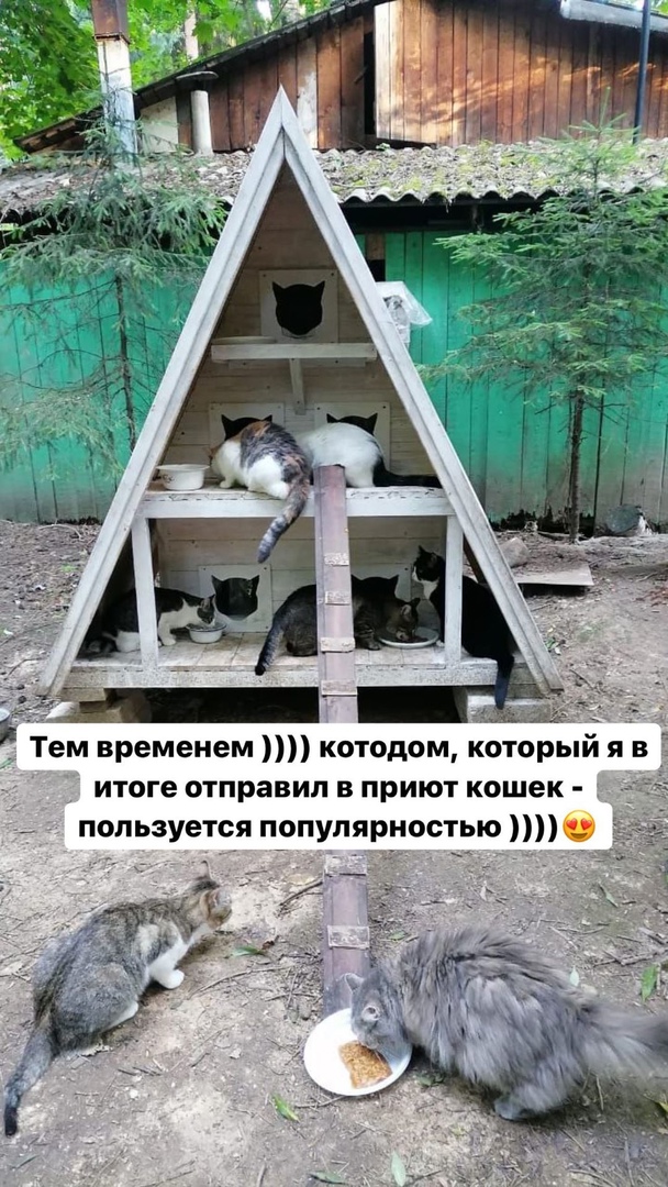 https://upforme.ru/uploads/0012/6e/7d/492/11349.jpg