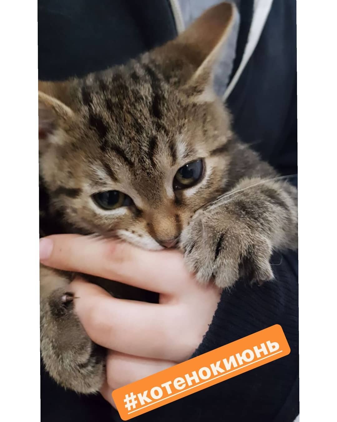 https://upforme.ru/uploads/0012/6e/7d/492/578444.jpg