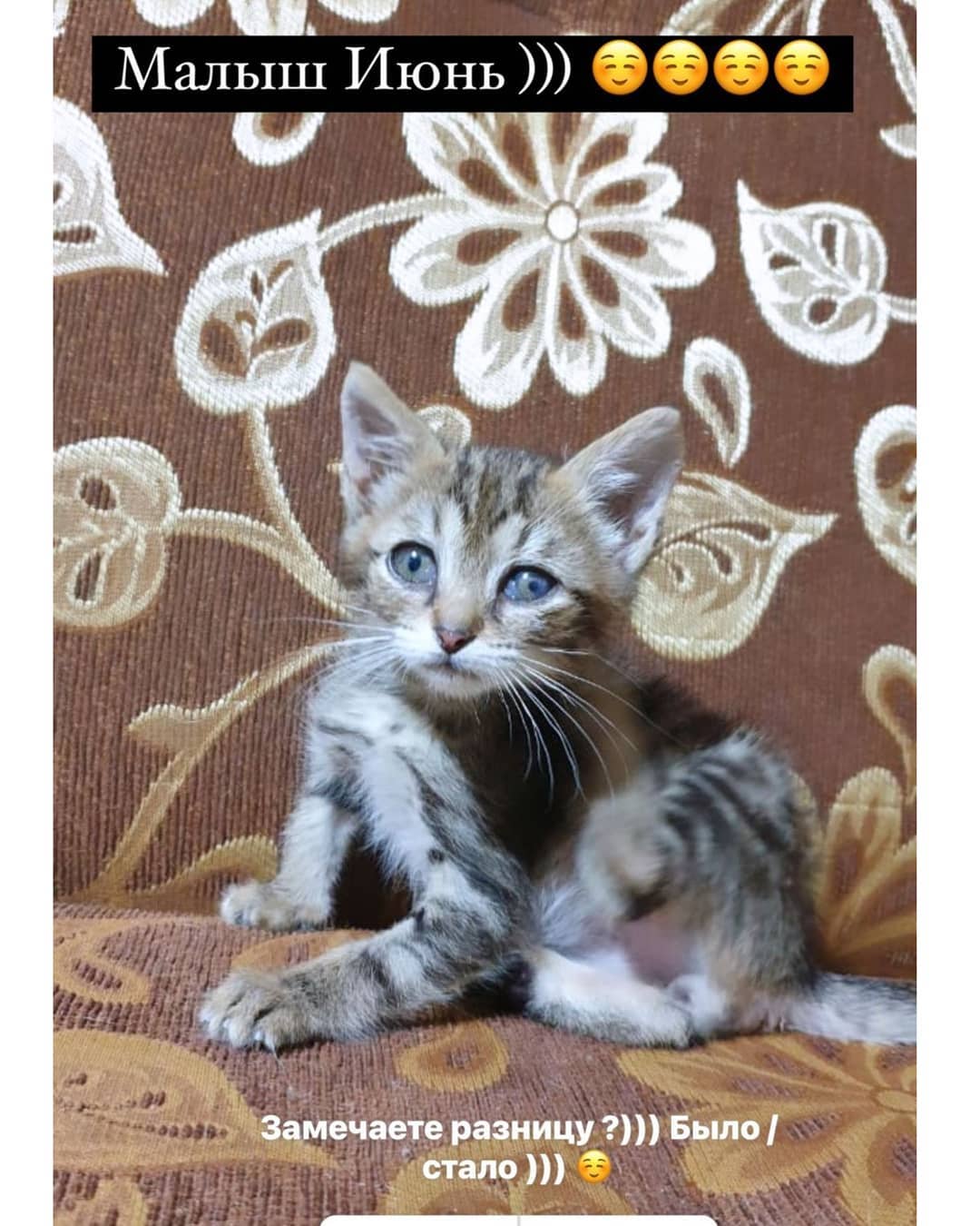 https://upforme.ru/uploads/0012/6e/7d/492/97132.jpg