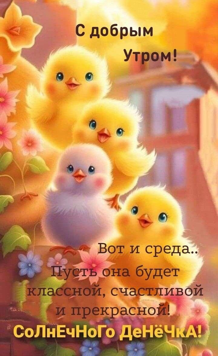 https://upforme.ru/uploads/0012/6e/7d/741/692608.jpg