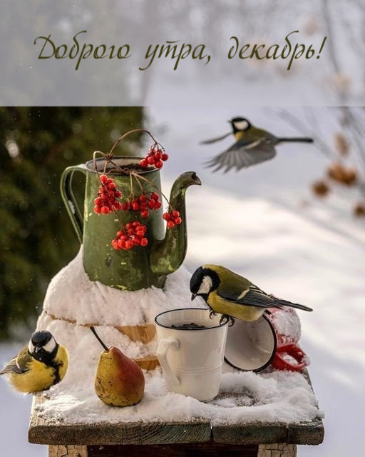 https://upforme.ru/uploads/0012/6e/7d/741/895314.jpg