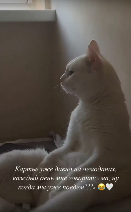 https://upforme.ru/uploads/0012/6e/7d/840/199177.jpg