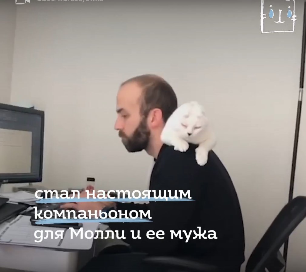 https://upforme.ru/uploads/0012/6e/7d/840/652079.jpg