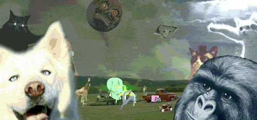 https://upforme.ru/uploads/0012/77/80/87/910323.gif