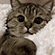 https://upforme.ru/uploads/0012/81/06/2/835358.gif