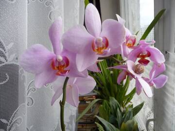 https://upforme.ru/uploads/0012/8d/0b/366/t186517.jpg