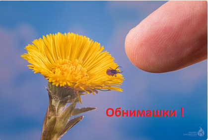https://upforme.ru/uploads/0012/97/66/2/430203.png