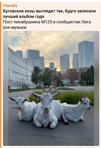 https://upforme.ru/uploads/0012/97/66/2/687382.png