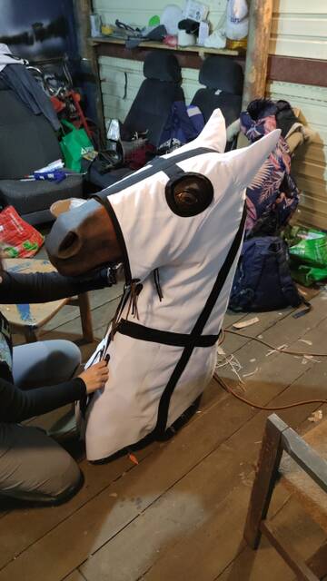 https://upforme.ru/uploads/0012/97/66/4/t251706.jpg