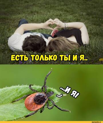 https://upforme.ru/uploads/0012/97/66/4/t629797.jpg