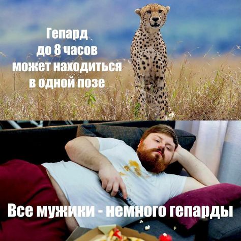 https://upforme.ru/uploads/0012/a8/87/2/t834420.jpg