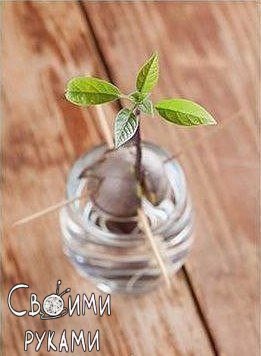 https://upforme.ru/uploads/0012/b6/ff/2/t286332.jpg