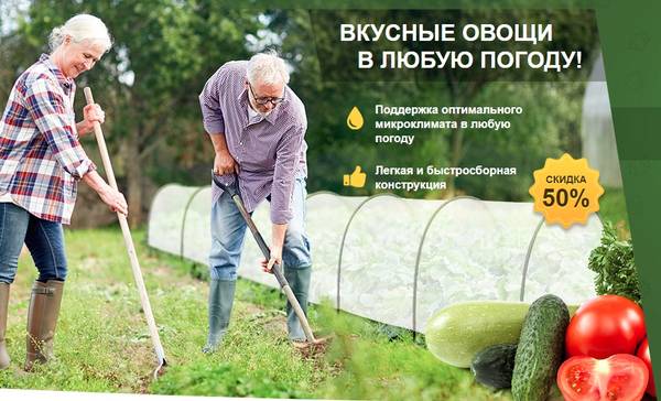 https://upforme.ru/uploads/0012/b6/ff/2/t99881.jpg