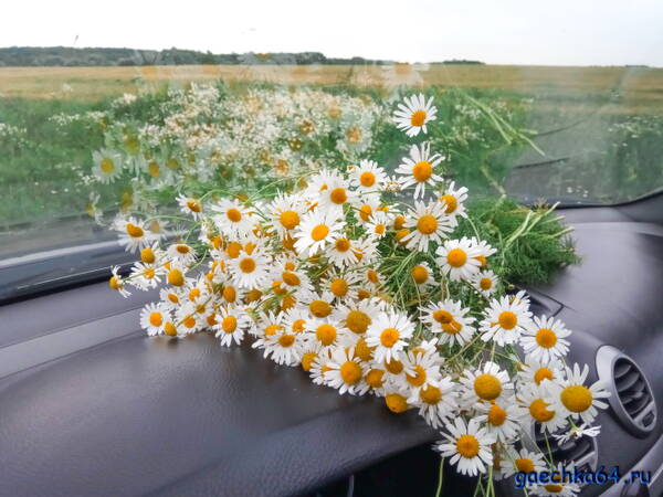 https://upforme.ru/uploads/0012/bc/44/2/t170332.jpg