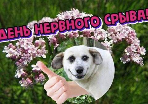 https://upforme.ru/uploads/0012/c3/0c/2/t896938.jpg