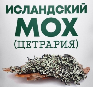 https://upforme.ru/uploads/0012/d5/f3/133/t125799.png
