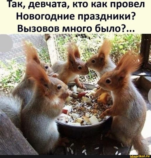 https://upforme.ru/uploads/0012/d6/0d/1104/485196.jpg