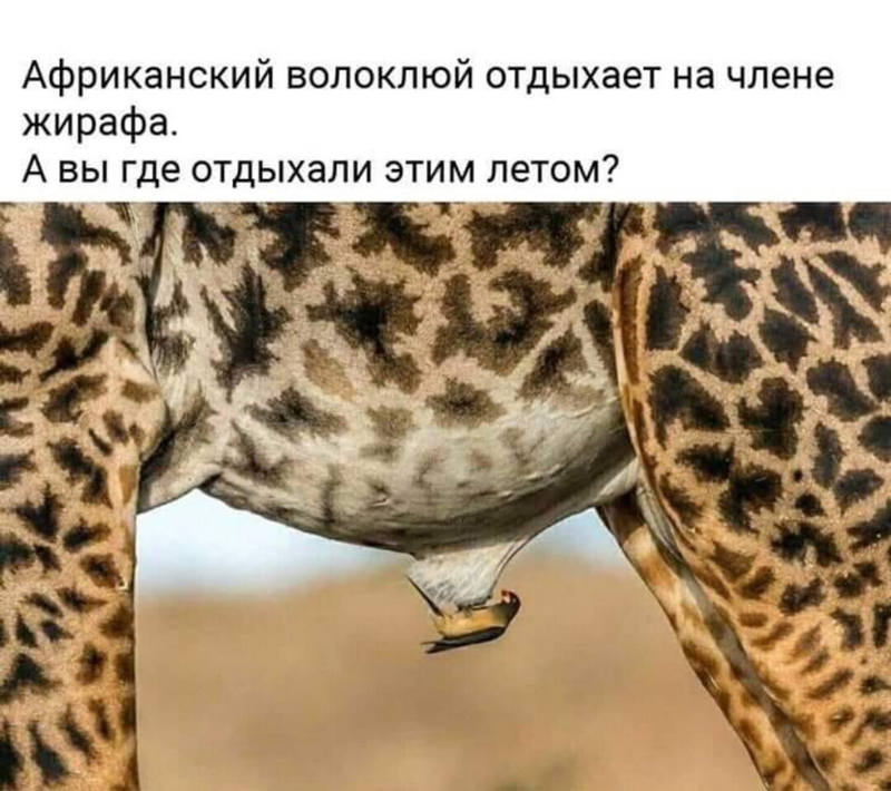 https://upforme.ru/uploads/0012/d6/0d/1104/789276.jpg