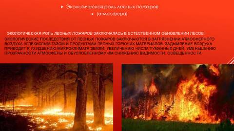 https://upforme.ru/uploads/0012/d6/0d/1121/t10014.jpg