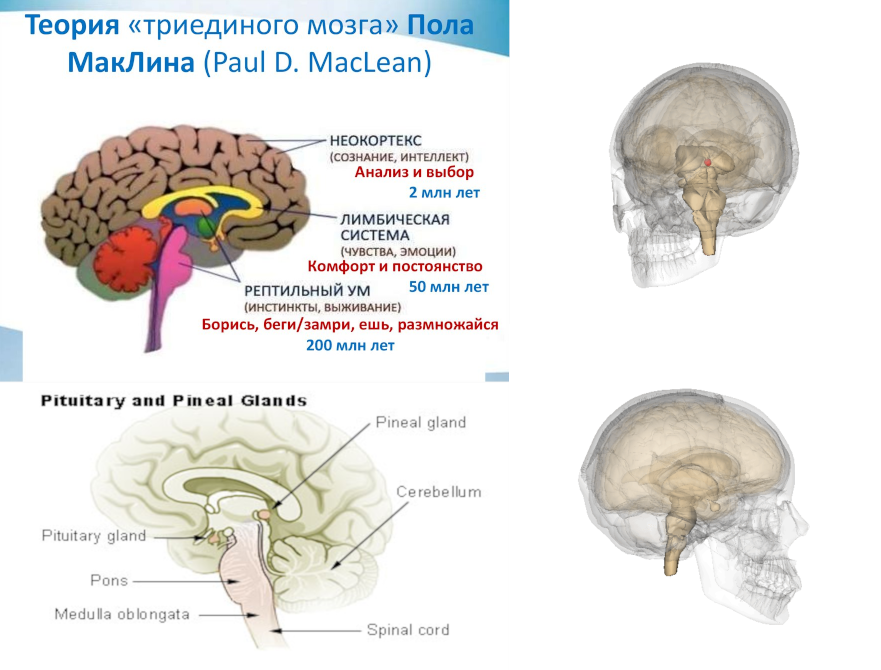 https://upforme.ru/uploads/0012/d6/0d/1894/255909.png