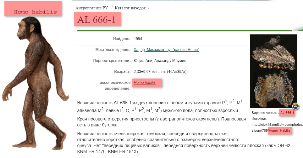 https://upforme.ru/uploads/0012/d6/0d/1894/282179.png