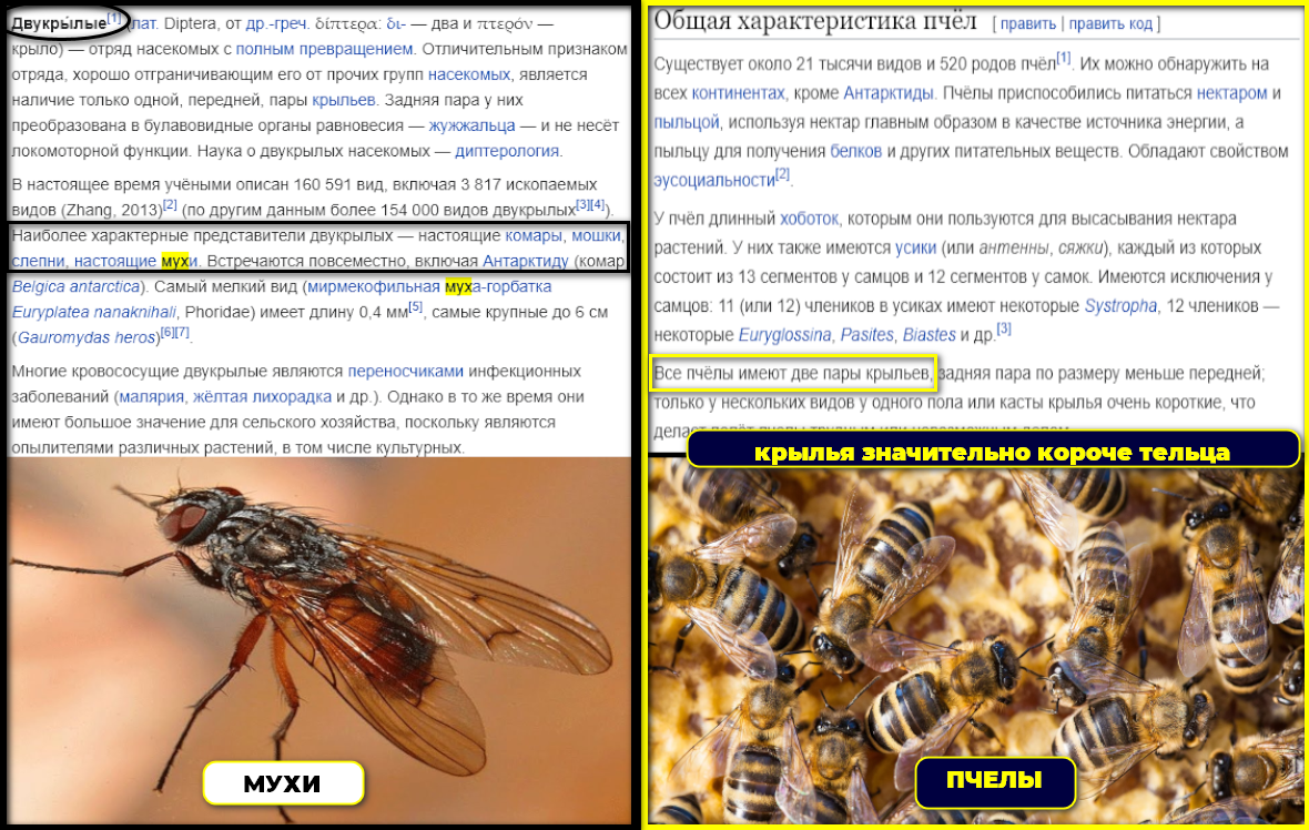 https://upforme.ru/uploads/0012/d6/0d/1894/410984.png
