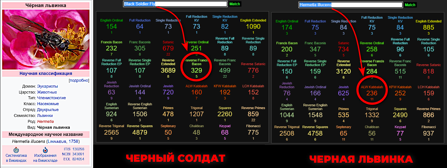 https://upforme.ru/uploads/0012/d6/0d/1894/734623.png