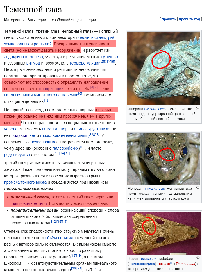 https://upforme.ru/uploads/0012/d6/0d/1894/862081.png