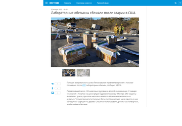 https://upforme.ru/uploads/0012/d6/0d/1894/t962903.png