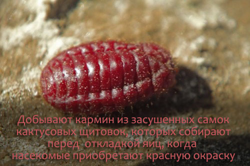 https://upforme.ru/uploads/0012/d6/0d/1994/627912.jpg