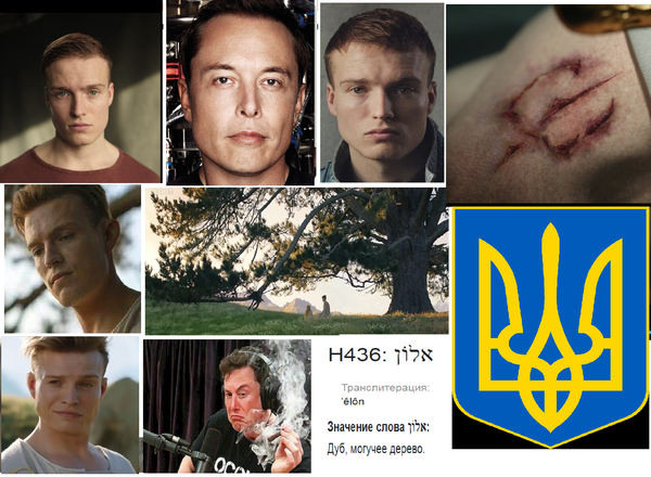 https://upforme.ru/uploads/0012/d6/0d/2086/t716134.png