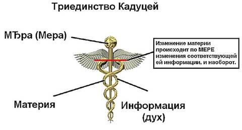 https://upforme.ru/uploads/0012/d6/0d/2137/t878528.jpg