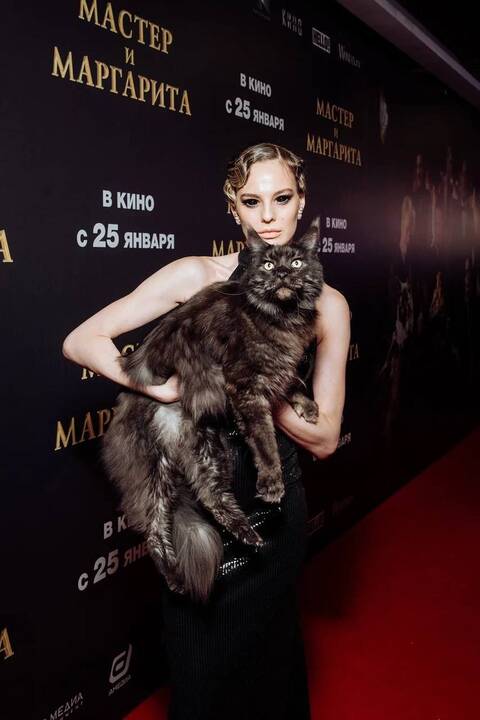 https://upforme.ru/uploads/0012/d6/0d/2174/t156162.jpg
