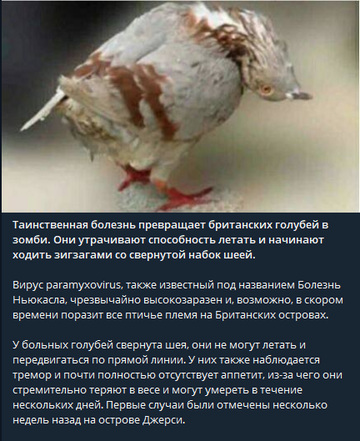 https://upforme.ru/uploads/0012/d6/0d/2215/t884976.png