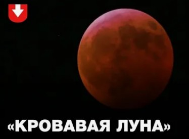 https://upforme.ru/uploads/0012/d6/0d/2353/130994.jpg