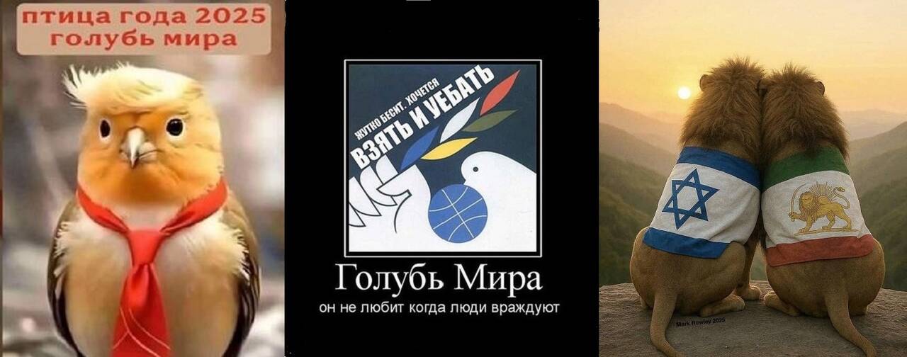 https://upforme.ru/uploads/0012/d6/0d/2353/642410.jpg