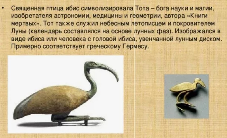 https://upforme.ru/uploads/0012/d6/0d/2353/857373.jpg