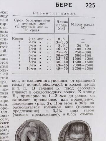 https://upforme.ru/uploads/0012/d6/0d/2383/t130205.jpg