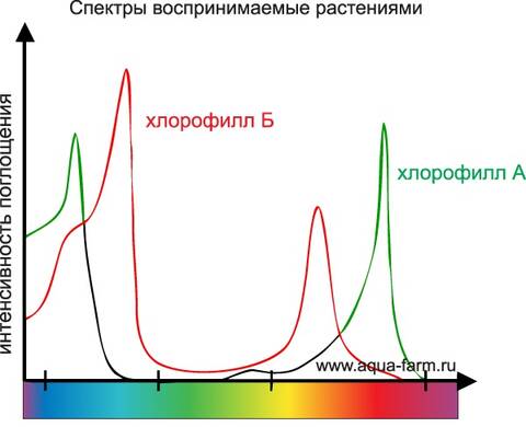 https://upforme.ru/uploads/0012/d6/0d/5/t939124.jpg
