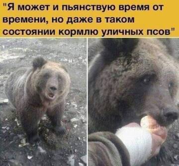 https://upforme.ru/uploads/0012/d6/0d/887/t333193.jpg